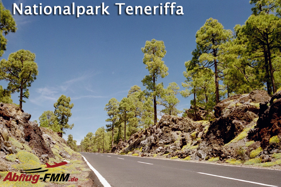 Nationalpark Teneriffa Kanaren